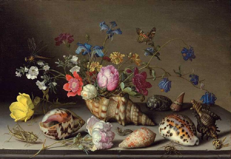 Blumen, Muscheln und Insekten auf einem Steingesims. from Balthasar van der Ast