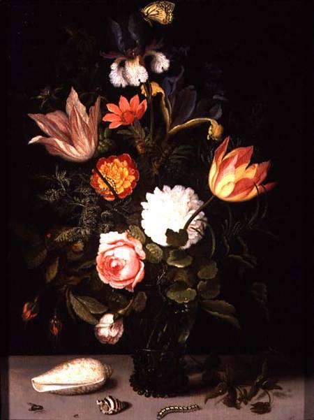 Still Life of Flowers in a Roemer with Two Shells from Balthasar van der Ast