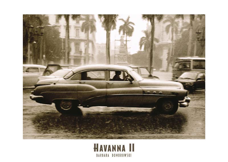 Havanna II from Barb Dombrowski