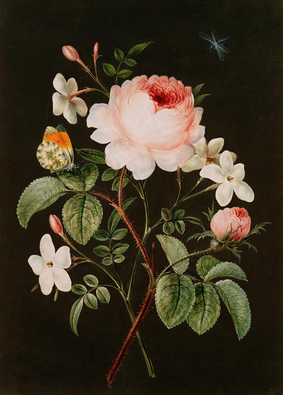 Rose and jasmine flower arrangement from Barbara Regina Dietzsch