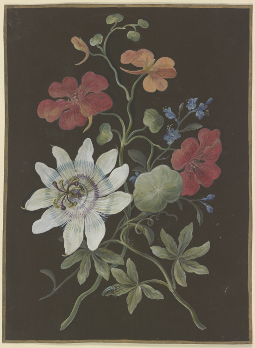 Gesteck aus Passionsblume (Passiflora), roter Kapuzinerkresse (Tropaeplum) und Vergißmeinnicht (Myos from Barbara Regina Dietzsch
