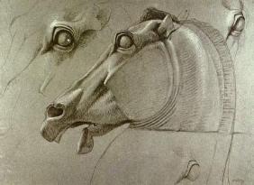 Kopf des Pferdes der Selene