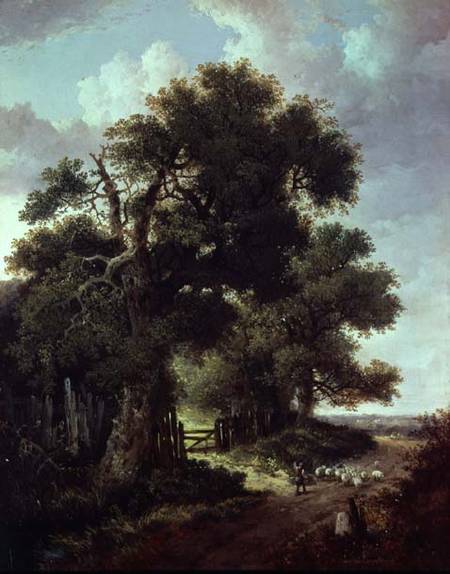 Landscape with young shepherd boy from Benjamin Williams Leader
