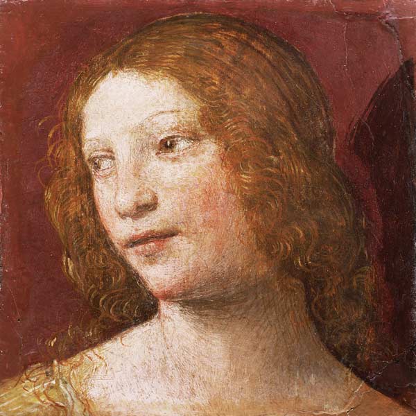 Head of a Young Woman from Bernardino Luini