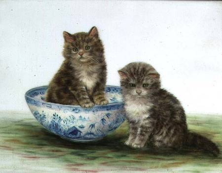 Kitten in a Blue China Bowl from Betsy Bamber