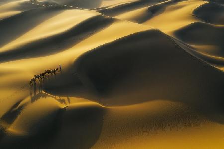 Das Schiff der Wüste
