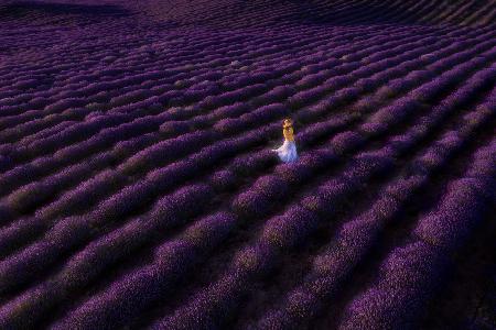 Die Frau in Lavendel
