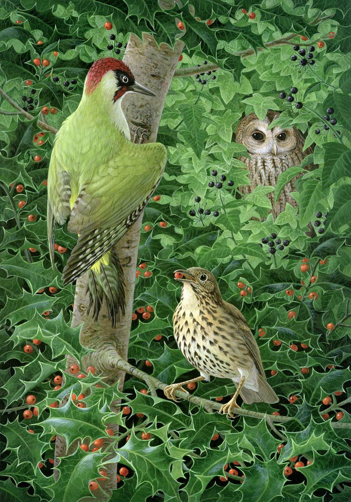 Woodpecker, Owl and Thrush (gouache on paper)  from Birgitte  Hendil