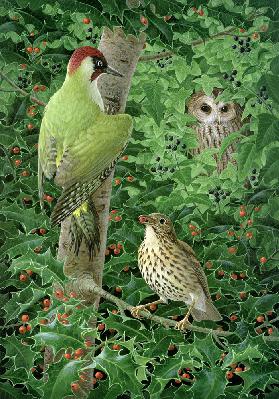 Woodpecker, Owl and Thrush (gouache on paper) 