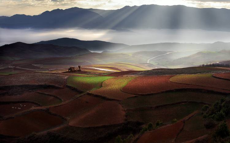 Early Spring On Red Land from BJ Yang