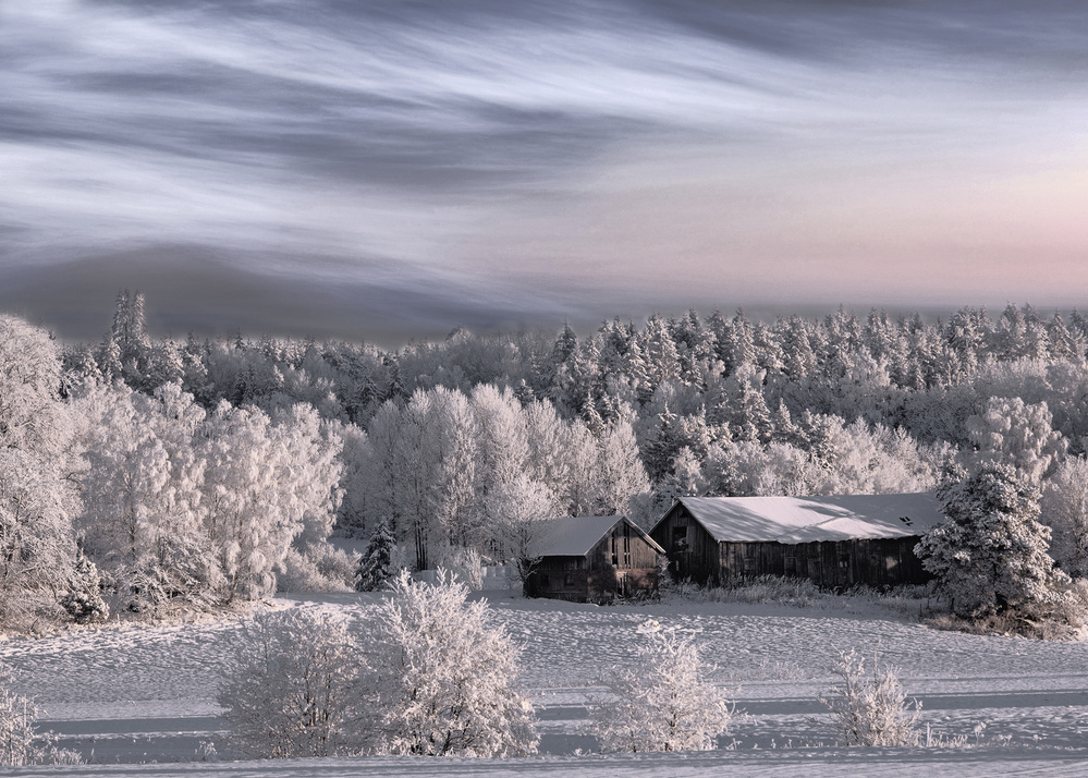 Wintermorgen from Bjorn Emanuelson
