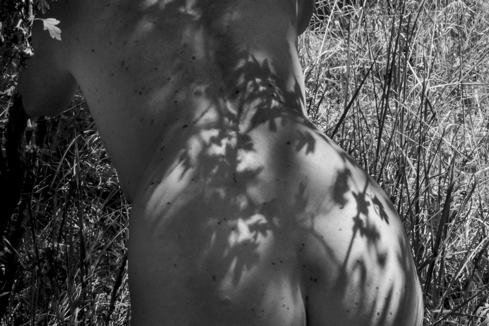 Female back-nude with shadow play from Amelie Breslauer