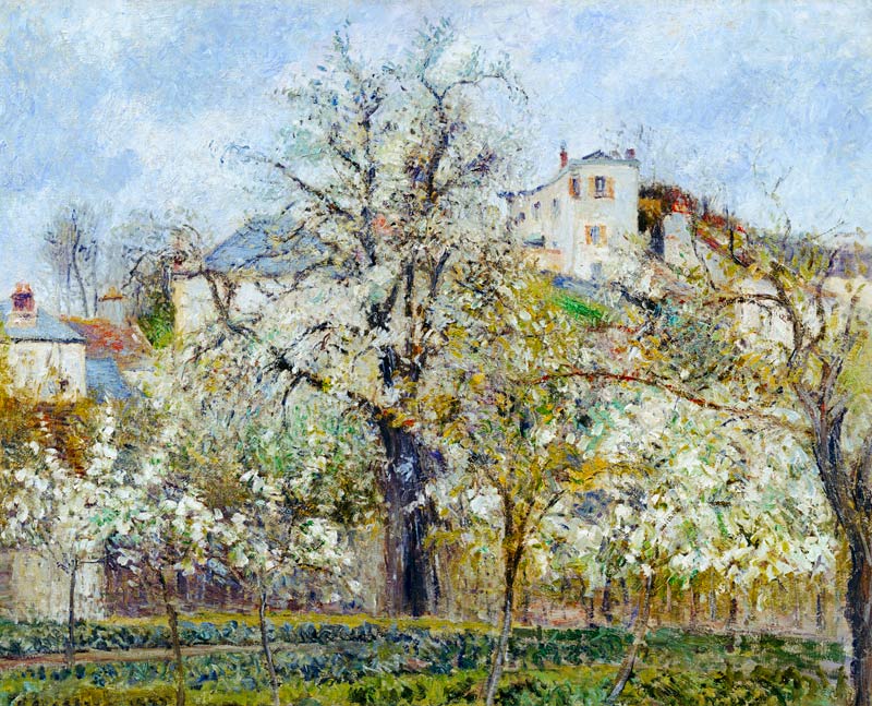The Vegetable Garden with Trees in Blossom, Spring, Pontoise from Camille Pissarro