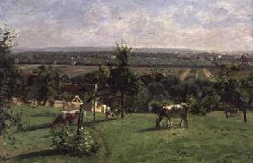 Hillside of Vesinet, Yvelines