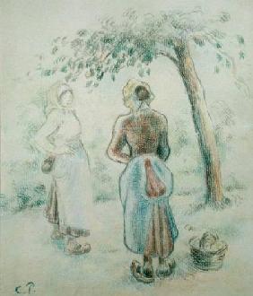The Woman under the Apple Tree