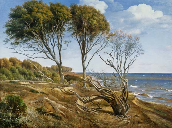 A Coastal Landscape from Carl Aagaard