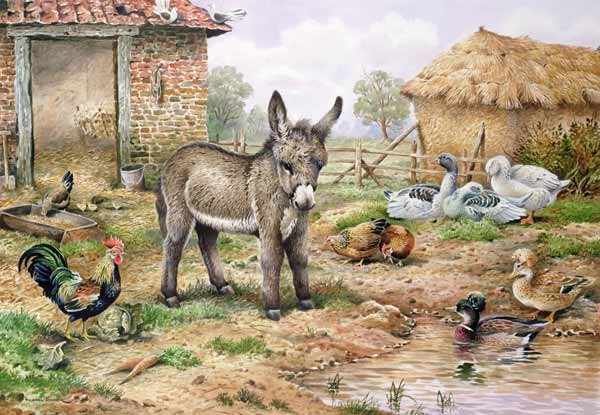 Donkey and Farmyard Fowl  from Carl  Donner