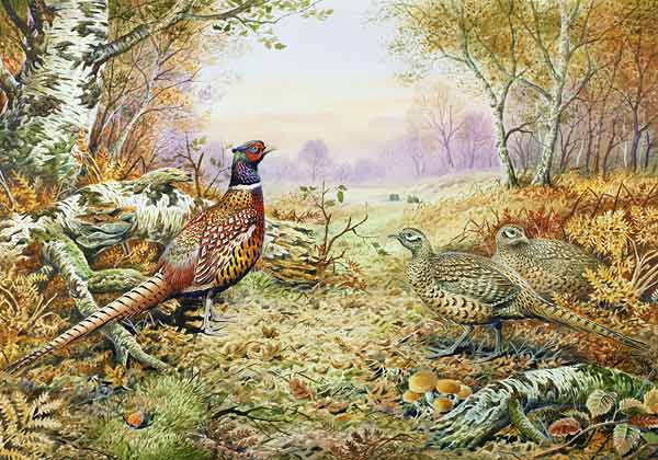 Pheasants in Woodland  from Carl  Donner