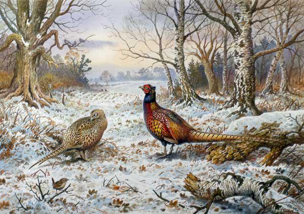 Pair of Pheasants with a Wren 