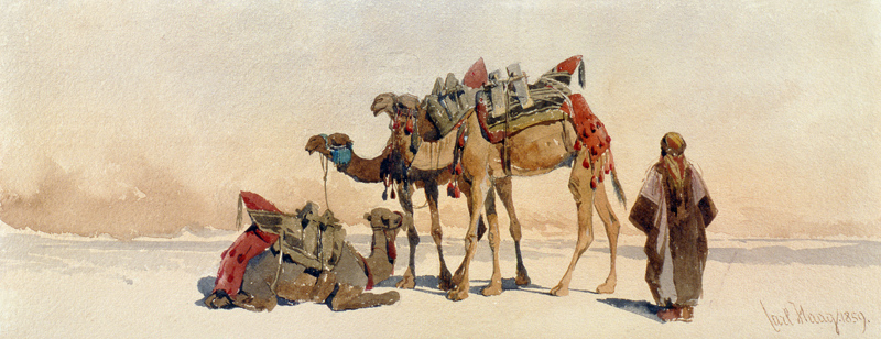 Resting with Three Camels in the Desert from Carl Haag