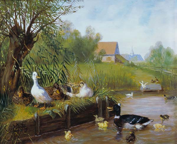 Enten am Flußufer from Carl Jutz