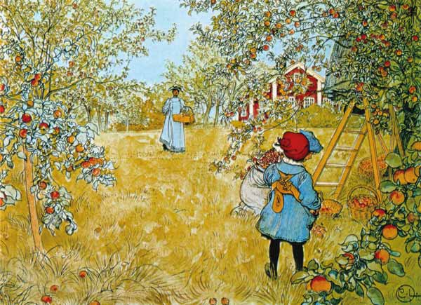 Apfelernte from Carl Larsson