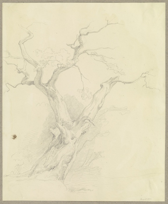 Abgestorbener Baum from Carl Theodor Reiffenstein