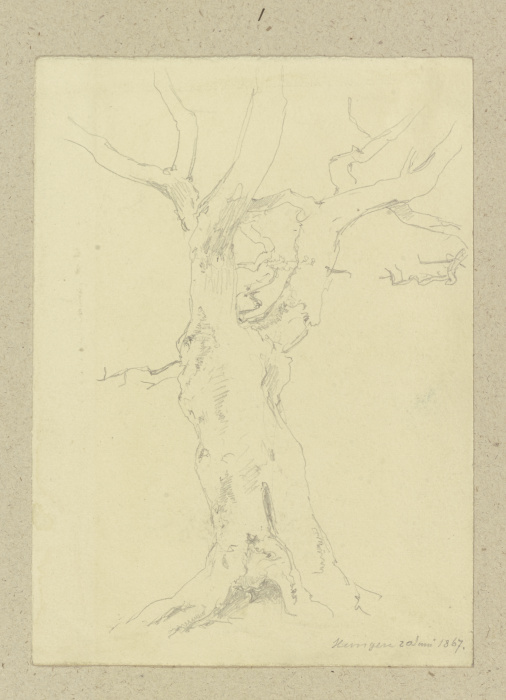 Alter Baum bei Hungen from Carl Theodor Reiffenstein