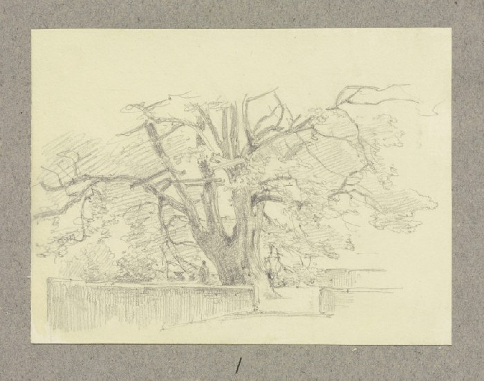Alter Baum, umgeben von Mäuerchen from Carl Theodor Reiffenstein