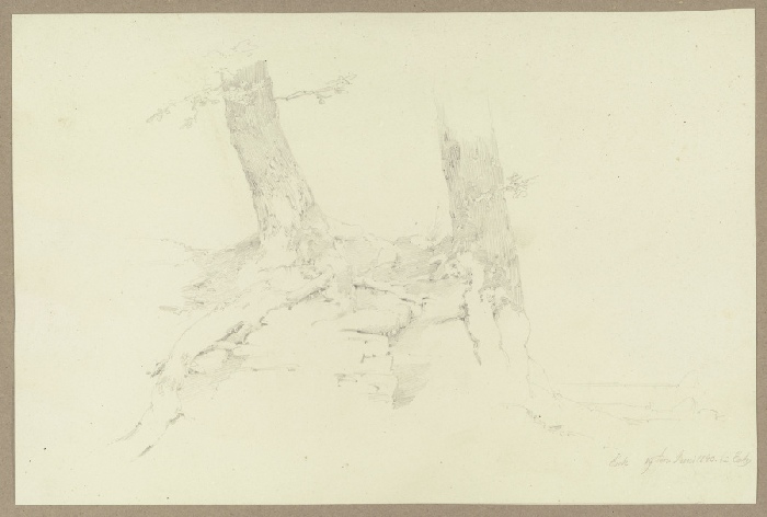An einer Erdabbruchkante auf steinigem Grund wachsende Bäume from Carl Theodor Reiffenstein
