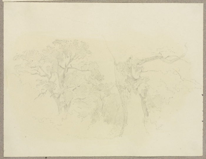 Bäume from Carl Theodor Reiffenstein