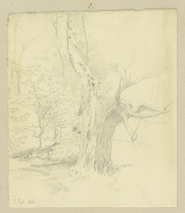 Bäume an einem Bach from Carl Theodor Reiffenstein
