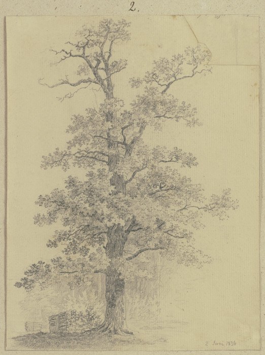 Baum am Waldrand mit Holzstoß from Carl Theodor Reiffenstein