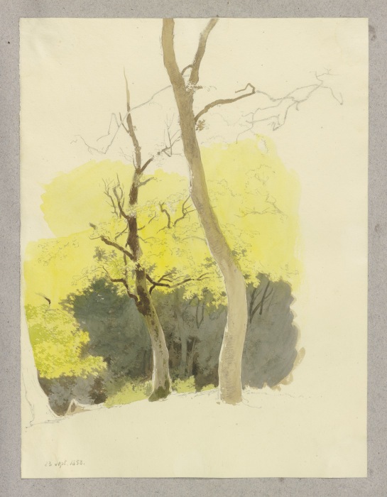Baumpaar, im Hintergrund ein dichter Wald from Carl Theodor Reiffenstein