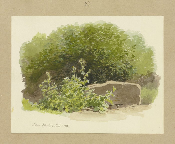 Eine Pflanze neben einem Steinblock, dahinter Sträucher from Carl Theodor Reiffenstein