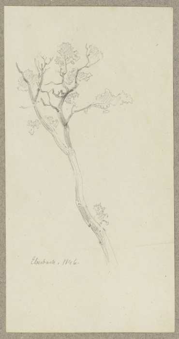 Junger Baum bei Eberbach from Carl Theodor Reiffenstein
