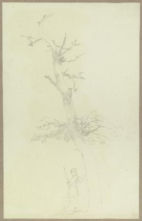 Kahler Baum, darunter ein Jäger