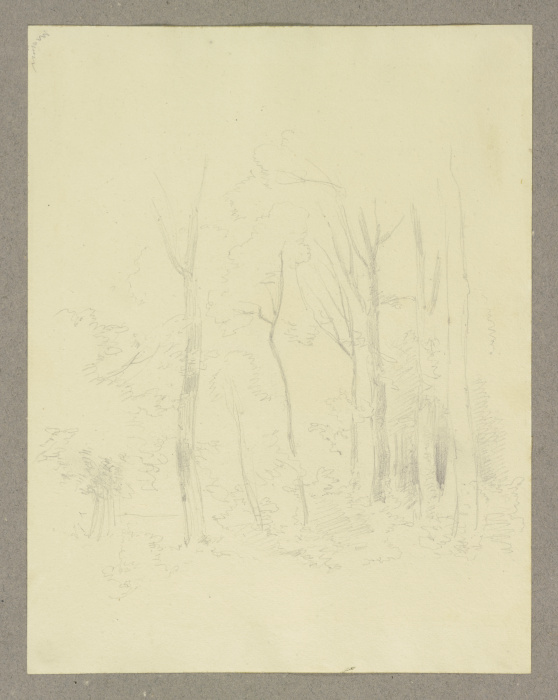 Waldpartie from Carl Theodor Reiffenstein
