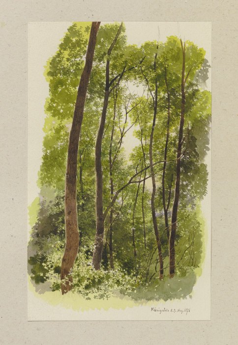 Waldpartie bei Königstein from Carl Theodor Reiffenstein