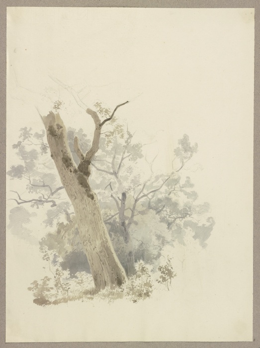 Waldpartie, im Vordergrund ein schief gewachsener Baum from Carl Theodor Reiffenstein