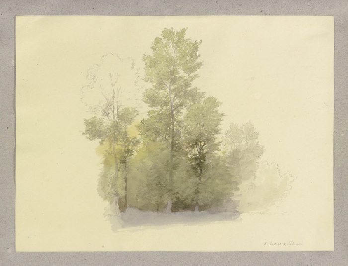 Waldstück from Carl Theodor Reiffenstein