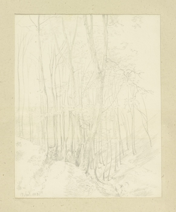 Waldstück in einer Talsohle from Carl Theodor Reiffenstein