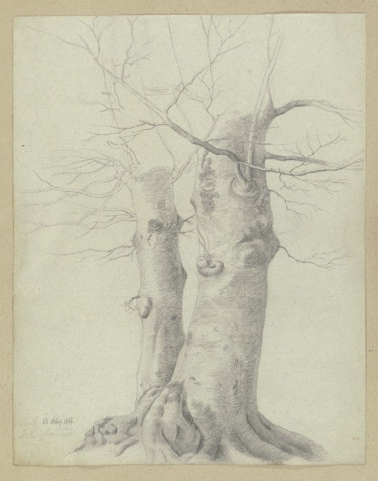 Zwei Bäume from Carl Theodor Reiffenstein