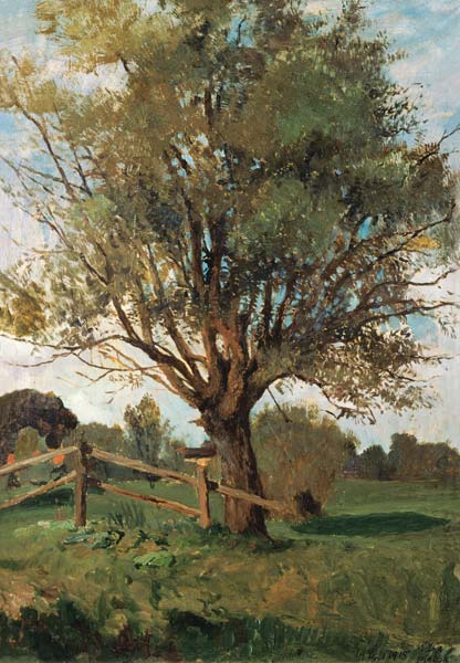 Der alte Baum. from Carl Vinnen