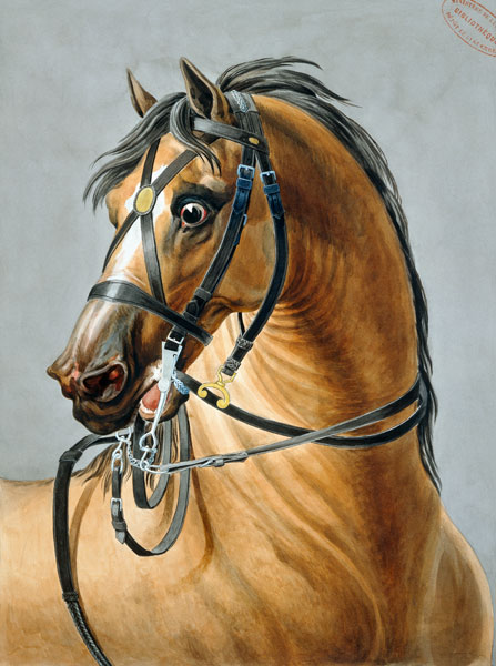 Bridle for artillery horses from Carle Vernet