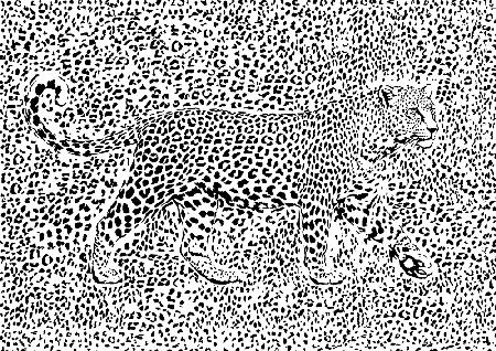 Leoparden-Rosette-Tarnung