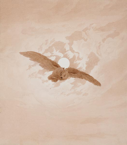 Owl Flying against a Moonlit Sky from Caspar David Friedrich