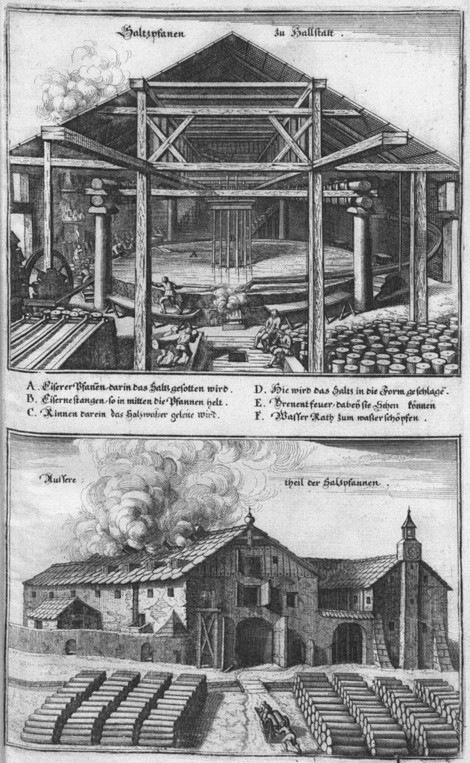 Die Saltzpan zu Hallstätt. (From: Topographia Provinciarum) from Caspar Merian