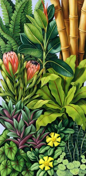 Foliage III, 2005 (oil on canvas)  from Catherine  Abel