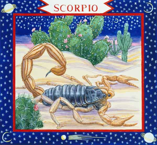 Scorpio (w/c on paper)  from Catherine  Bradbury